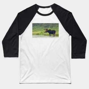 Bull Moose - Algonquin Park, Canada Baseball T-Shirt